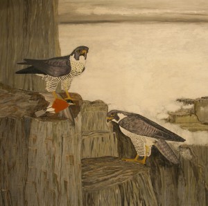 PeregrineFalcon